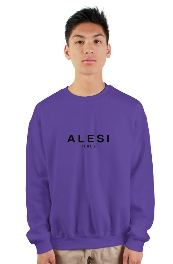 ALESI ITALY VINTAGE SWEATSHIRT